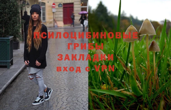 мет Карпинск