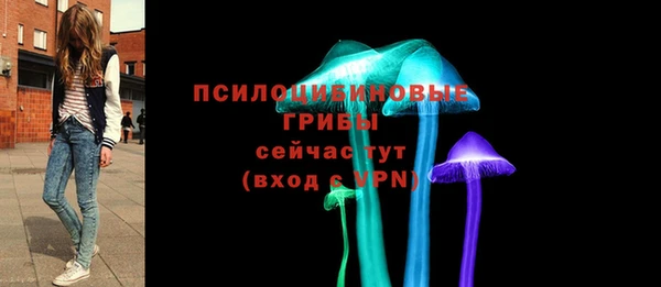 крисы Белоозёрский