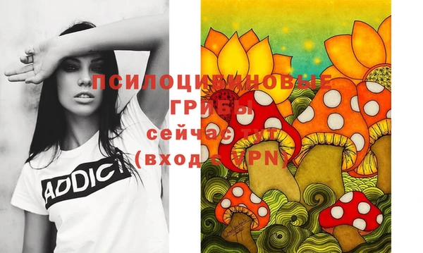 крисы Белоозёрский