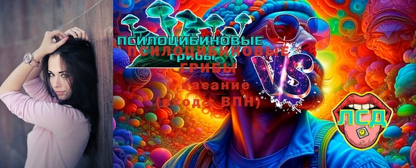 круглые Белокуриха