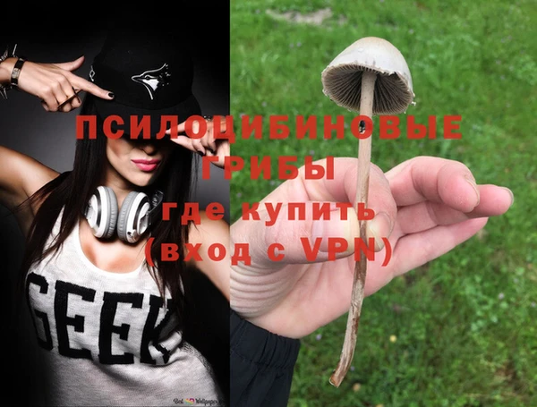 крисы Белоозёрский