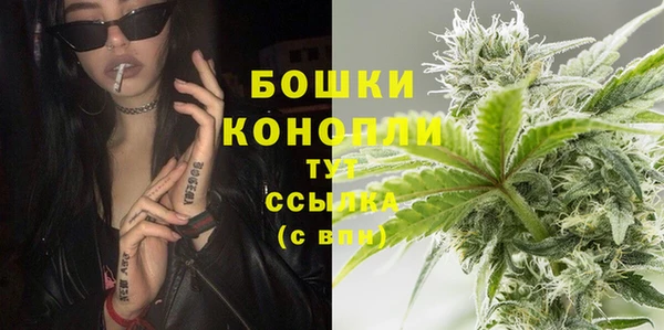 крисы Белоозёрский