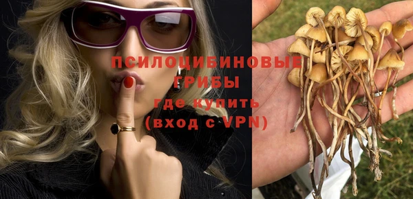ALPHA PVP Касимов