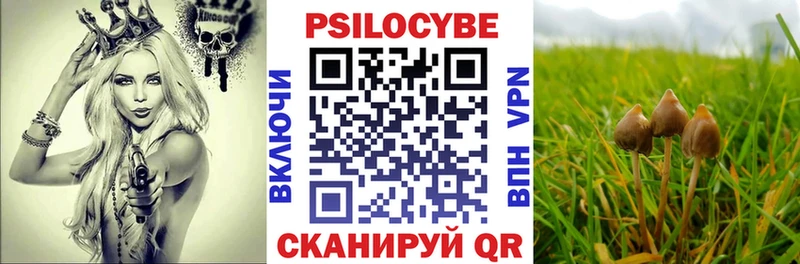 Псилоцибиновые грибы MAGIC MUSHROOMS  Мариинский Посад 