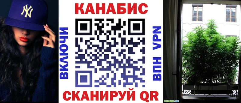 Бошки Шишки план Мариинский Посад